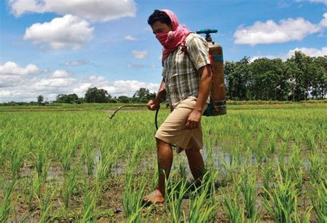 Crop protection measures key to doubling farmers' income: Ficci study ...