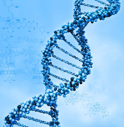 Genetics Definition 的图像结果