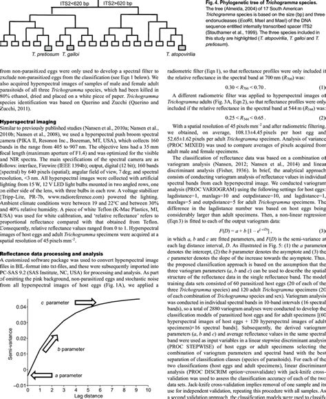 Image result for Variogram Analysis