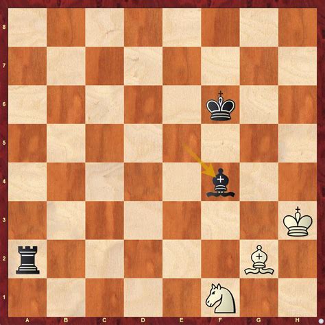 Grenke 2019 Round 2: Old is Gold! 49 years old Vishy Anand beats 14 ...