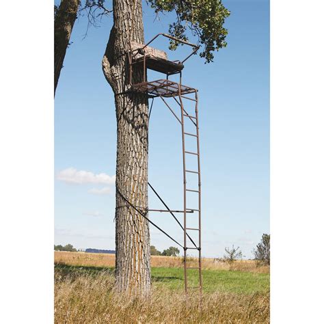 Image result for Lock On Tree Stand Ladder
