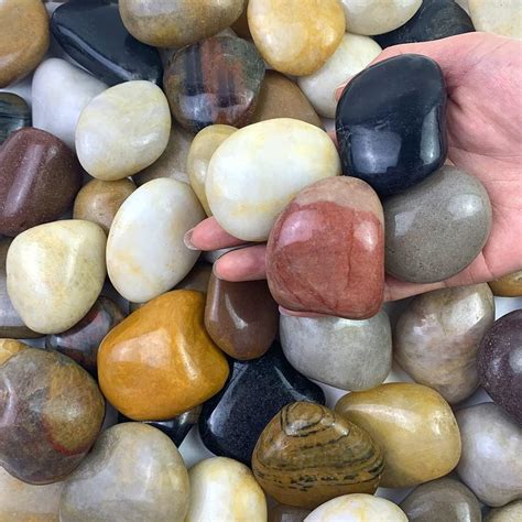 Amazon.com : FANTIAN 5 lbs Large River Rocks for Plants, 2-3 inch ...