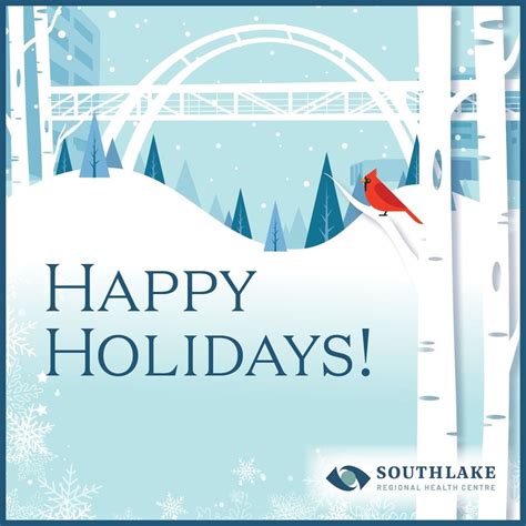 Tips for accessing healthcare this holiday season - Southlake Health