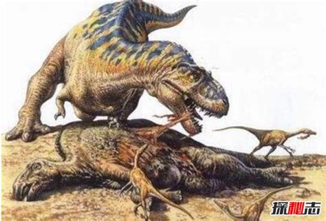 恐龙之王霸王龙 侏罗纪晚期顶级掠食者（食物链顶端）_探秘志
