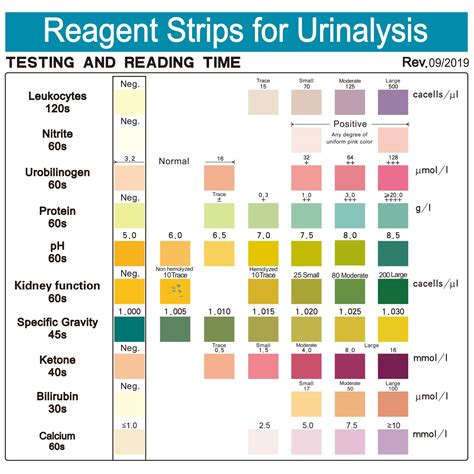 Snapklik.com : URS 10-in-1 Urine Test Strips 10 Parameters Testing UTI