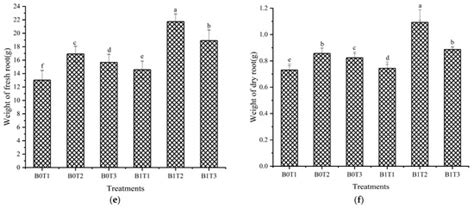 Hormone Metabolism and Substance Accumulation in Cucumber Plants: Downy ...