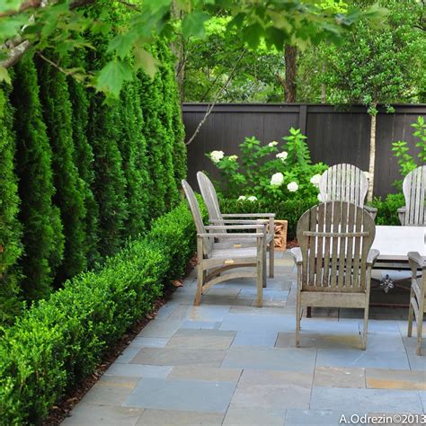10+ Privacy Landscaping Around Patio