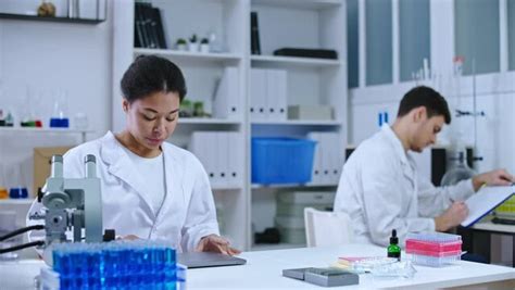 Lab Assistant 的图像结果