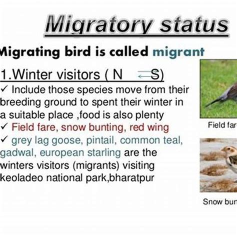 Image result for Northern Migration of Python's