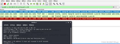 Nmap Scan Me 的图像结果