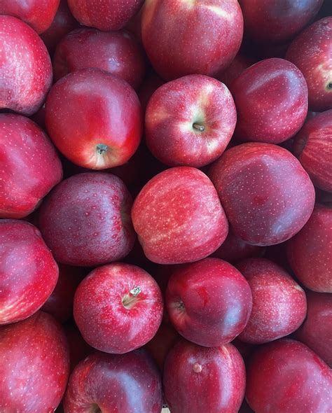 Wenatchee Natural Foods - Discover Natural Products