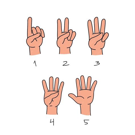 Count 的图像结果