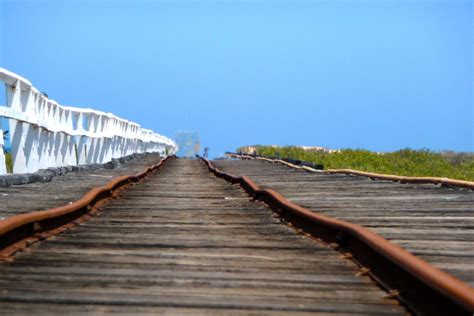 Image result for Distorted Vision Examples