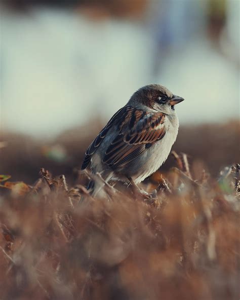 Image result for Alienware R7 SD Card