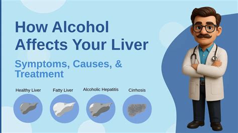 How Alcohol Affects Your Liver: Stages, Symptoms & Recovery