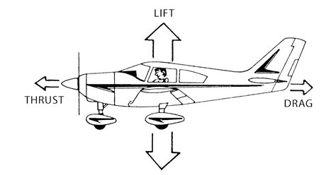 Image result for How Does Flight Work