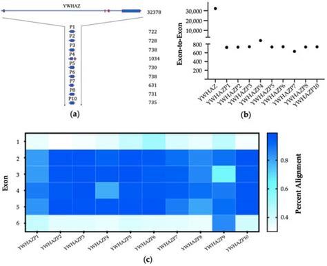 Structural Features and Physiological Associations of Human 14-3-3ζ ...
