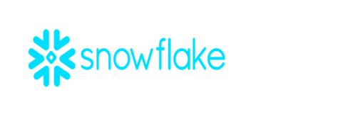Image result for Snowflake Scan