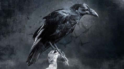 Crow God, Kevin Macio | Dark fantasy art, Horror art, Raven art