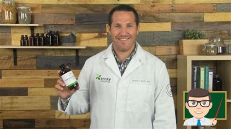 elderberry for immune system