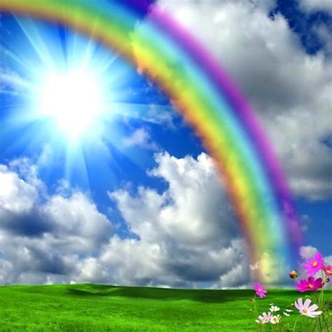 Image result for Rainbow Design CSS CodePen