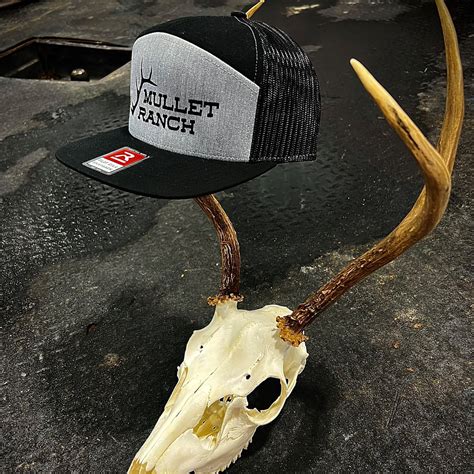 Shed Head - mulletranch