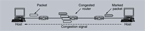 Image result for Custom Congestion Control Algorithms