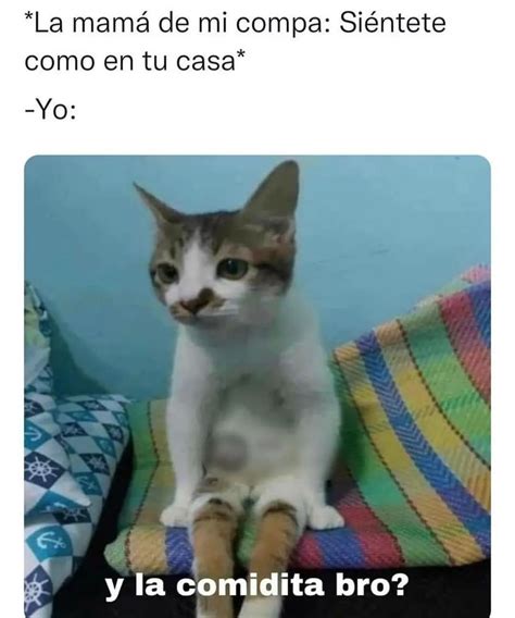 *La mamá de mi compa: Siéntete como en tu casa* Yo: y la comidita bro ...