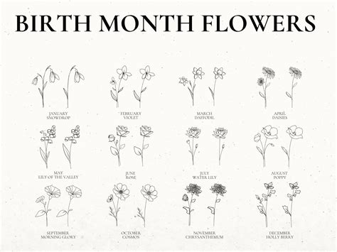 Hand Drawn Birth Month Flowers, Great tattoo design or project clip art ...