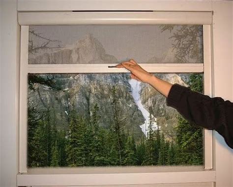 Mosquito Net - Hinged Insect Screen Service Provider from Chennai