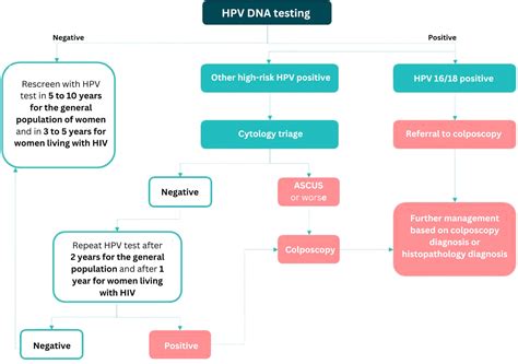 Frontiers | Molecular triaging options for women testing HPV positive ...