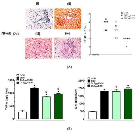 Grape-Leaf Extract Attenuates Alcohol-Induced Liver Injury via ...