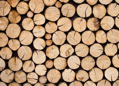 做实木家具用哪种木材好？最全的常用木材介绍。 - 知乎