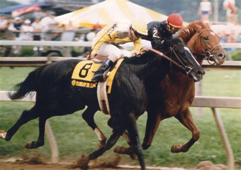 Sunday Silence (KY) | National Museum of Racing and Hall of Fame