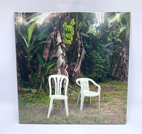 Bad Bunny Debi Tirar Mas Fotos DTMF Vinyl Vinilo Gatefold 2 Album - NEW ...