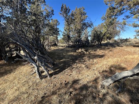 Opportunity awaits in Chiloquin, Klamath County, Oregon – Pioneer ...