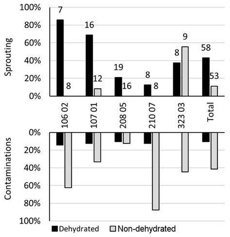 Dehydration Treatment Improves Ulmus glabra Dormant Bud Regeneration ...