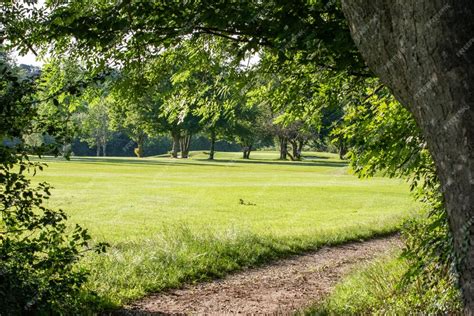Path through Field 的图像结果