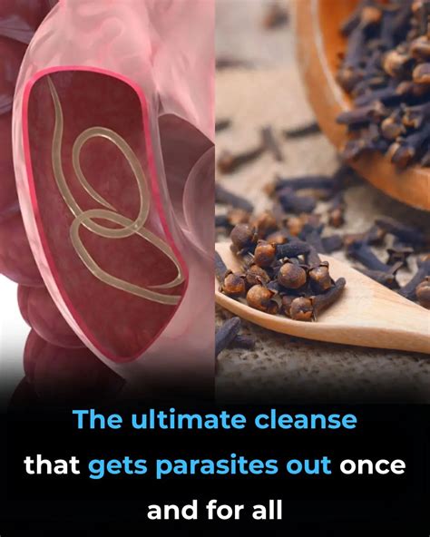 How to Get Rid of Worms in Humans (Including Parasite Cleanse Diet)