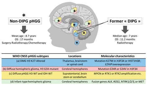 Glioma Stem Cells in Pediatric High-Grade Gliomas: From Current Knowledge to Future Perspectives