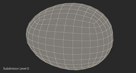 3D Fresh Dinosaur Egg model | 3D Molier International