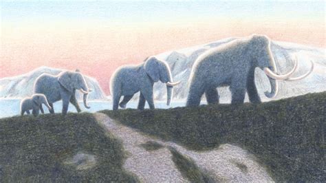 De-extinction: When Woolly Mammoths Return | Atmos