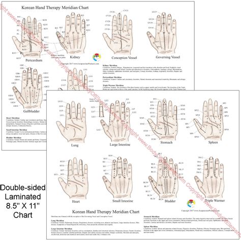 Korean Hand Therapy Meridian Chart 8.5" X 11" - Body of Elements