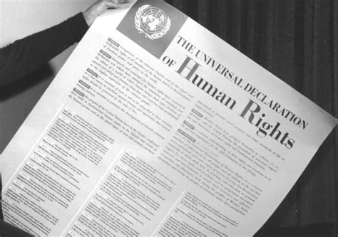 The Universal Declaration of Human Rights (UDHR) - Citizens Commission on Human Rights Ireland