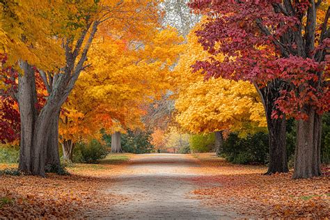 Image result for Autumn Homework EYFS