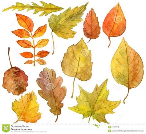 Vibrant Watercolor Painting of Autumn Leaves