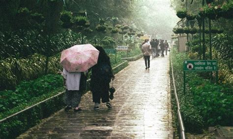 Rain brings relief from intense heat in Delhi