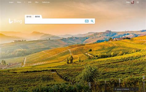 Bing国际版 的图像结果