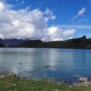 Wolfenschiessen Travel Guide 2025: Top Attractions, Things to do ...