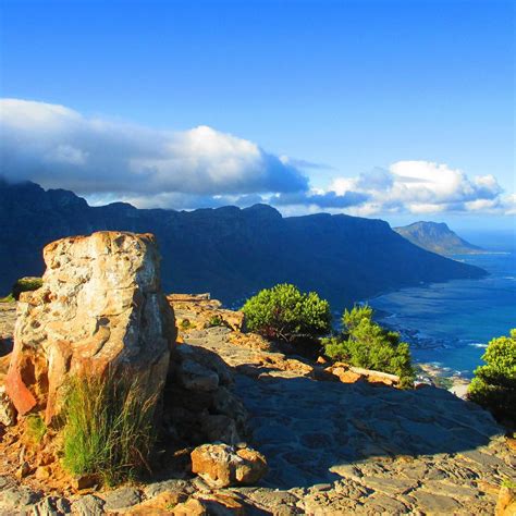 LION'S HEAD (2025) All You Need to Know BEFORE You Go (with Photos ...